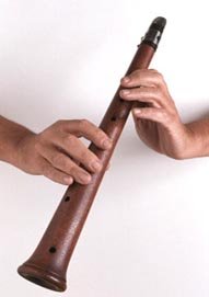 Saxillo